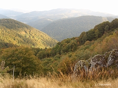 La vallée Alsacienne de Sewen; en bas se trouve le Lac d'Alfeld (619 mètres)